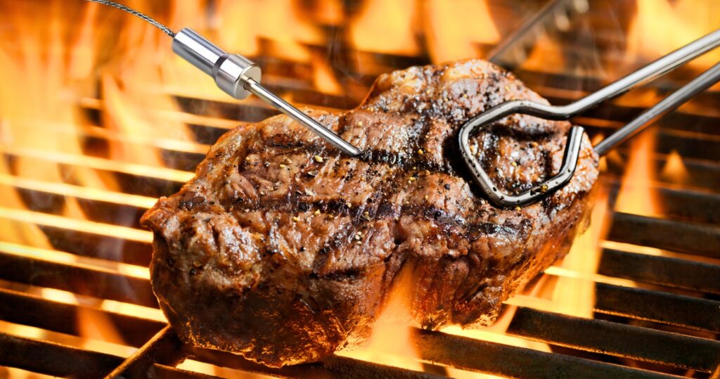 Beste BBQ thermometer van 2025 – LTMT Dome vleesthermometer met app